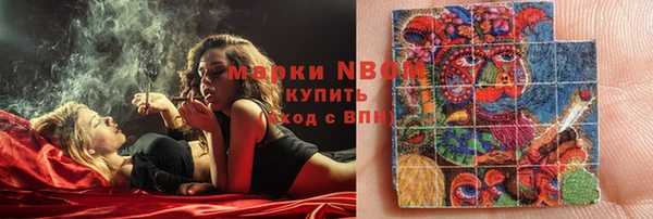 шишки Володарск
