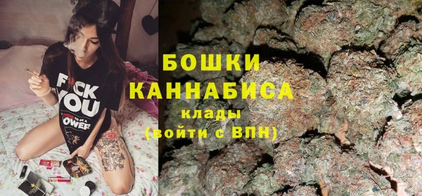 шишки Володарск
