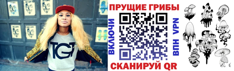 как найти закладки  Петушки  Псилоцибиновые грибы мицелий 