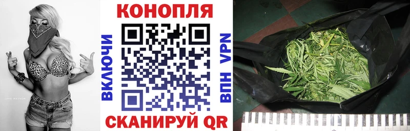 Бошки Шишки ГИДРОПОН  Петушки 